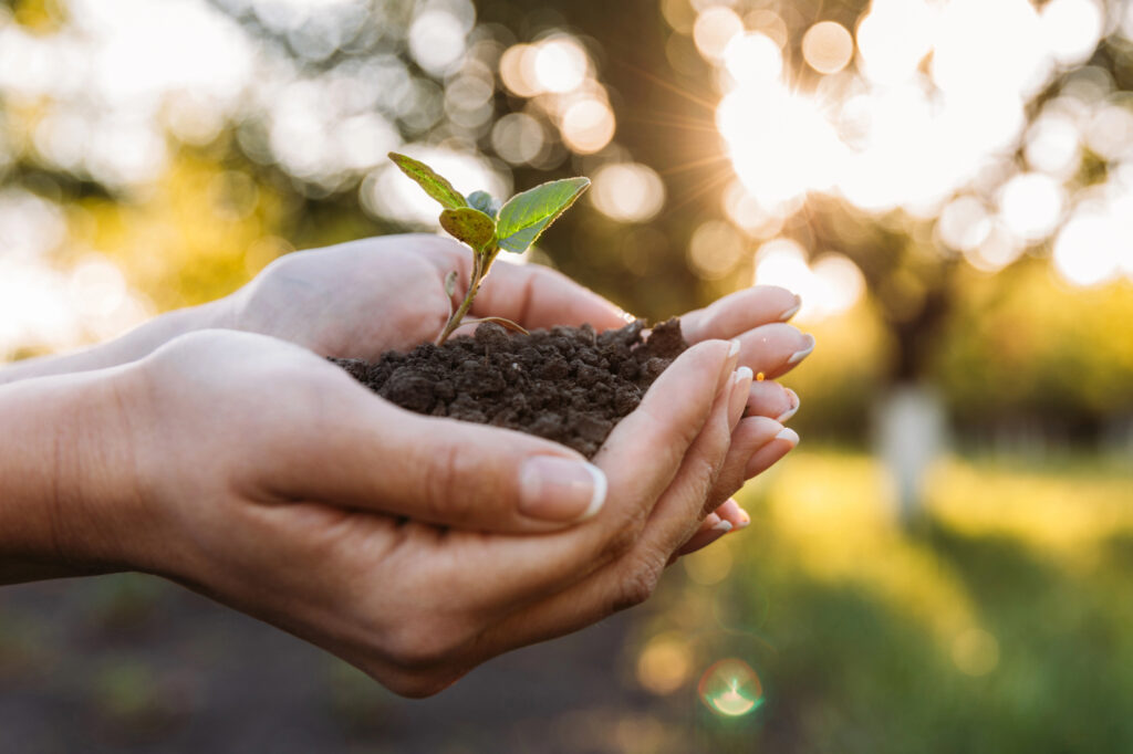Coaching in Korschenbroich Wachstum